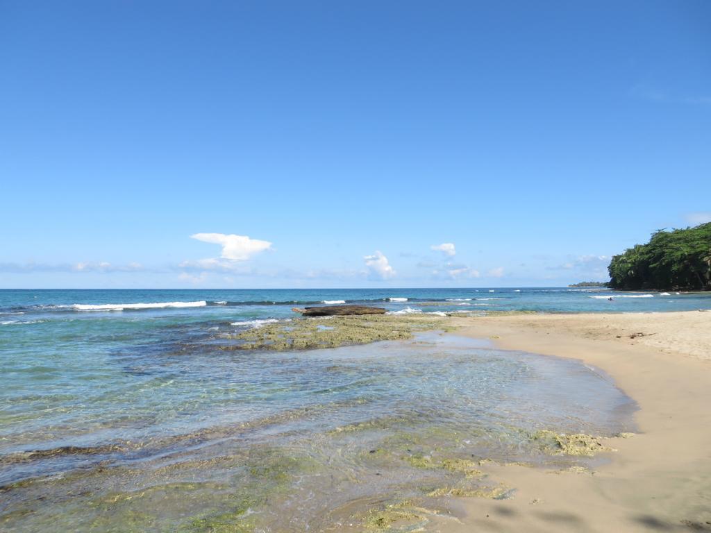 La Kukula Lodge Puerto Viejo de Talamanca Dış mekan fotoğraf