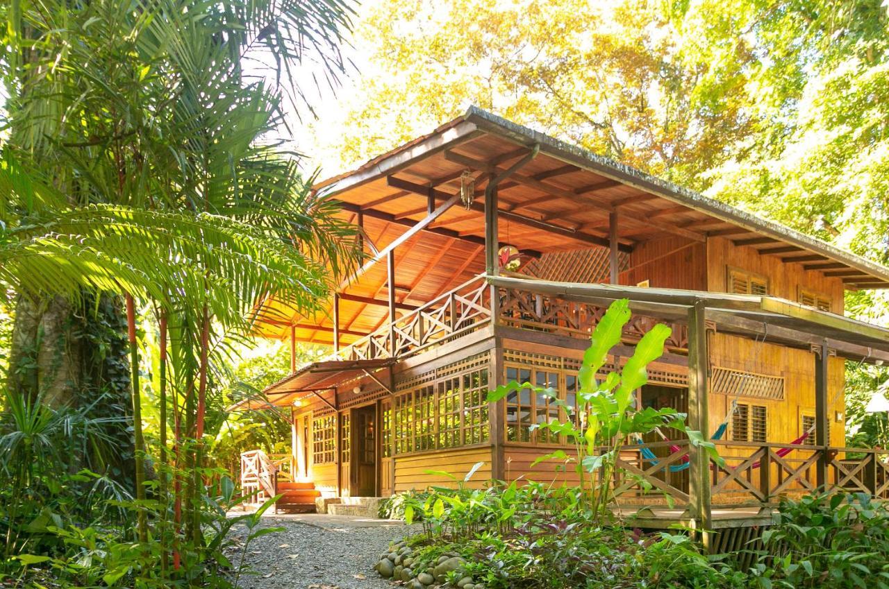 La Kukula Lodge Puerto Viejo de Talamanca Dış mekan fotoğraf
